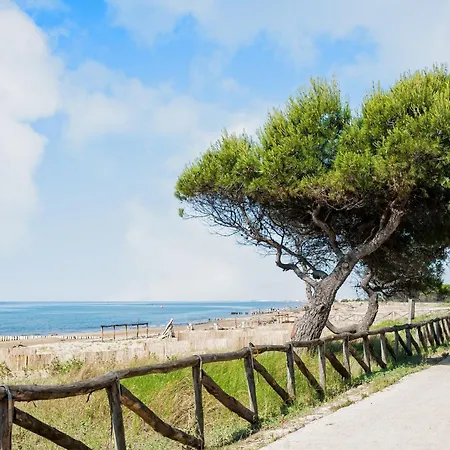 Apartment Lovely Vacation Retreat Just 350 M From The